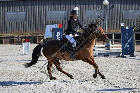 AS7V0886.jpg 23 Février 2019 - Ecuries Lefebvre - CSO Chevaux Inconnu,