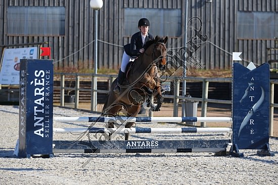 AS7V0889.jpg 23 Février 2019 - Ecuries Lefebvre - CSO Chevaux Eve LECARPENTIER,