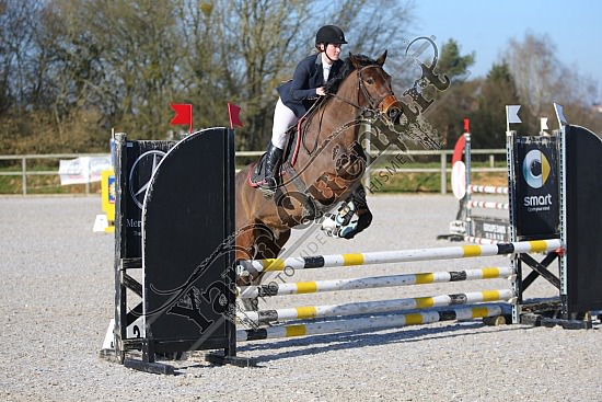 AS7V0893.jpg 23 Février 2019 - Ecuries Lefebvre - CSO Chevaux Eve LECARPENTIER,