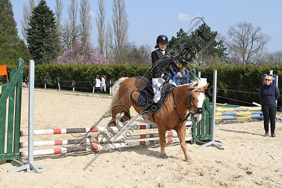 IMG_2827.jpg 27 Mars 2011 - CSO de Pissy Poville, Centre hippique de la ferrière 