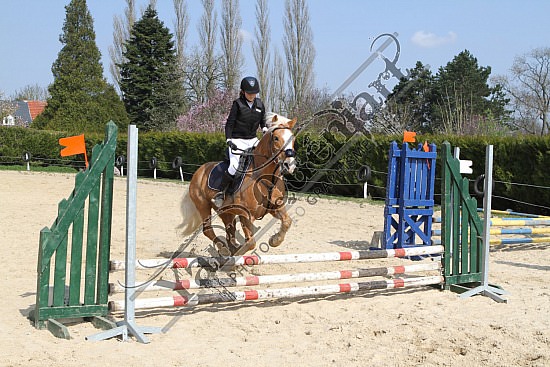 IMG_2824.jpg 27 Mars 2011 - CSO de Pissy Poville, Centre hippique de la ferrière 
