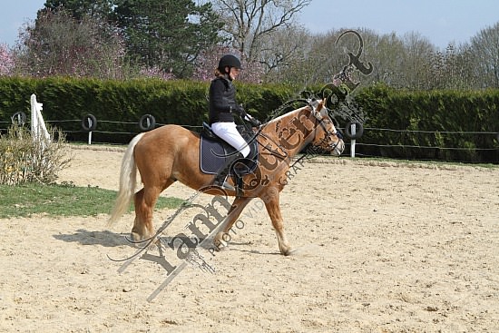 IMG_2831_1.jpg 27 Mars 2011 - CSO de Pissy Poville, Centre hippique de la ferrière 