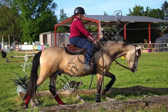 AS7V2523.jpg 1 et 2 Juin 2019 - Ranch de l'Oison -Extreme Cowboy Race Adeline BREDOUX,