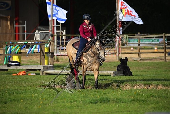 AS7V2512.jpg 1 et 2 Juin 2019 - Ranch de l'Oison -Extreme Cowboy Race Adeline BREDOUX,