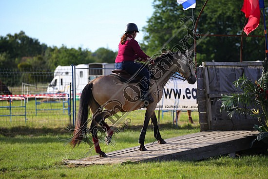 AS7V2526.jpg 1 et 2 Juin 2019 - Ranch de l'Oison -Extreme Cowboy Race Adeline BREDOUX,