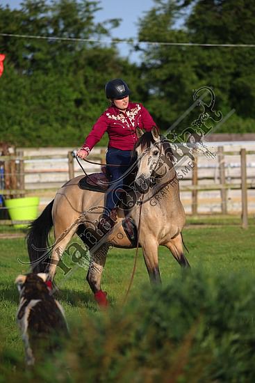 AS7V2515.jpg 1 et 2 Juin 2019 - Ranch de l'Oison -Extreme Cowboy Race Adeline BREDOUX,