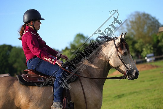 AS7V2521.jpg 1 et 2 Juin 2019 - Ranch de l'Oison -Extreme Cowboy Race Adeline BREDOUX,