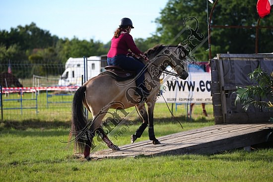 AS7V2525.jpg 1 et 2 Juin 2019 - Ranch de l'Oison -Extreme Cowboy Race Adeline BREDOUX,