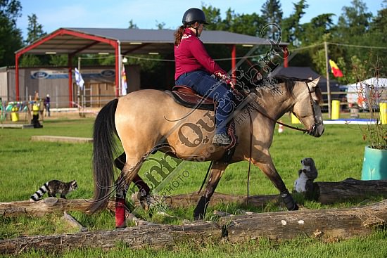 AS7V2524.jpg 1 et 2 Juin 2019 - Ranch de l'Oison -Extreme Cowboy Race Adeline BREDOUX,