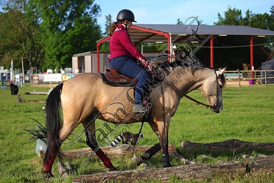 AS7V2522.jpg 1 et 2 Juin 2019 - Ranch de l'Oison -Extreme Cowboy Race Adeline BREDOUX,