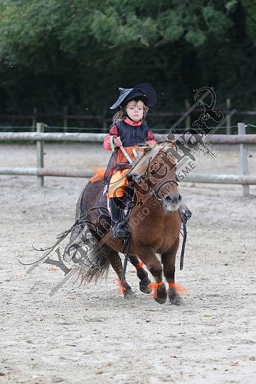 OD6A9783.jpg 20 Octobre 2019 : Ecurie du Val - Equifun Club & Poney 