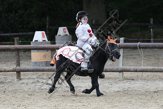 OD6A7588.jpg 20 Octobre 2019 : Ecurie du Val - Equifun Club & Poney 