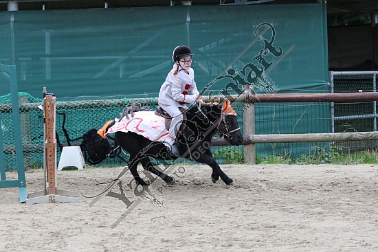 OD6A7606.jpg 20 Octobre 2019 : Ecurie du Val - Equifun Club & Poney 