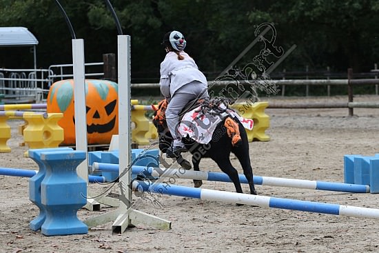 OD6A7594.jpg 20 Octobre 2019 : Ecurie du Val - Equifun Club & Poney 
