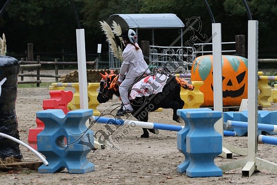 OD6A7597.jpg 20 Octobre 2019 : Ecurie du Val - Equifun Club & Poney 