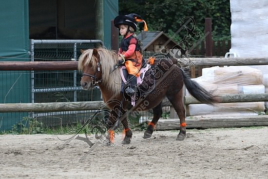 OD6A9776.jpg 20 Octobre 2019 : Ecurie du Val - Equifun Club & Poney 