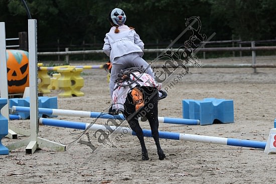 OD6A7593.jpg 20 Octobre 2019 : Ecurie du Val - Equifun Club & Poney 