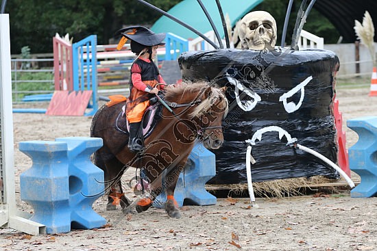 OD6A9780.jpg 20 Octobre 2019 : Ecurie du Val - Equifun Club & Poney 