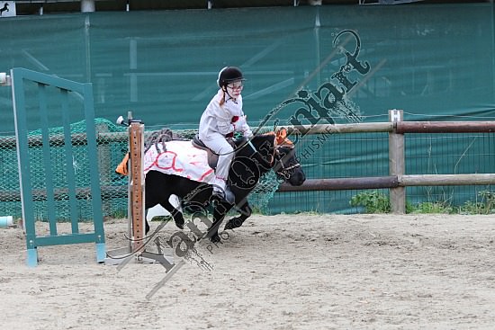 OD6A7605.jpg 20 Octobre 2019 : Ecurie du Val - Equifun Club & Poney 