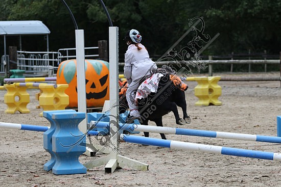 OD6A7595.jpg 20 Octobre 2019 : Ecurie du Val - Equifun Club & Poney 