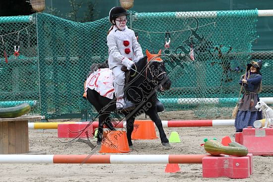 OD6A7590.jpg 20 Octobre 2019 : Ecurie du Val - Equifun Club & Poney 
