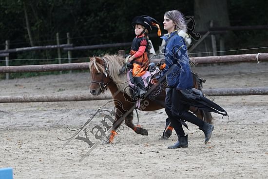 OD6A9778.jpg 20 Octobre 2019 : Ecurie du Val - Equifun Club & Poney 