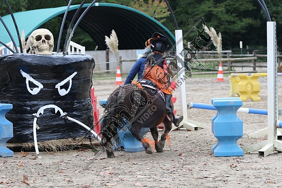 OD6A9781.jpg 20 Octobre 2019 : Ecurie du Val - Equifun Club & Poney 