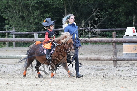 OD6A9787.jpg 20 Octobre 2019 : Ecurie du Val - Equifun Club & Poney 