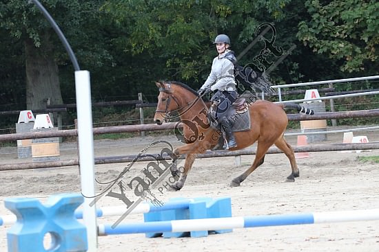OD6A9847.jpg 20 Octobre 2019 : Ecurie du Val - Equifun Club & Poney 
