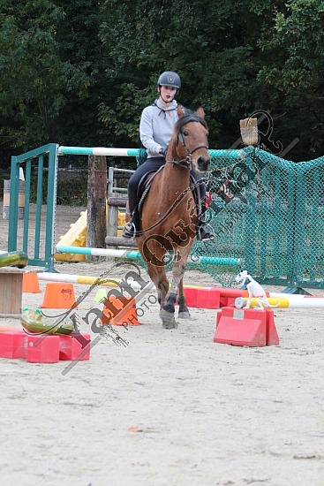 OD6A9858.jpg 20 Octobre 2019 : Ecurie du Val - Equifun Club & Poney 