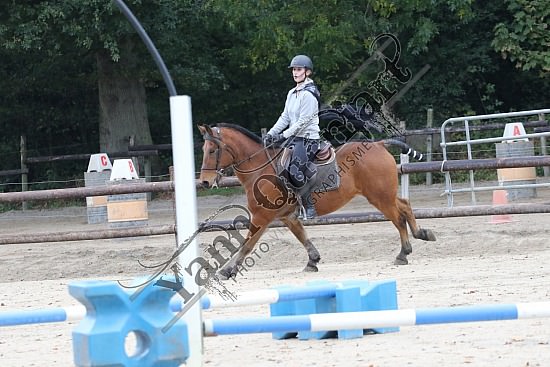 OD6A9848.jpg 20 Octobre 2019 : Ecurie du Val - Equifun Club & Poney 