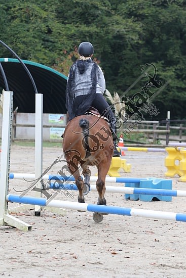 OD6A9860.jpg 20 Octobre 2019 : Ecurie du Val - Equifun Club & Poney 