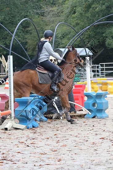 OD6A9849.jpg 20 Octobre 2019 : Ecurie du Val - Equifun Club & Poney 