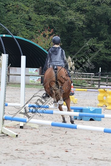 OD6A9861.jpg 20 Octobre 2019 : Ecurie du Val - Equifun Club & Poney 