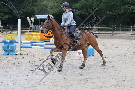 OD6A9852.jpg 20 Octobre 2019 : Ecurie du Val - Equifun Club & Poney 