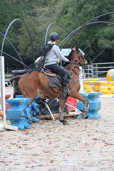 OD6A9850.jpg 20 Octobre 2019 : Ecurie du Val - Equifun Club & Poney 