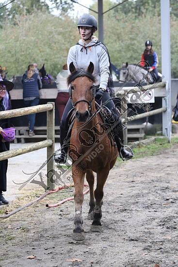 OD6A9845.jpg 20 Octobre 2019 : Ecurie du Val - Equifun Club & Poney 