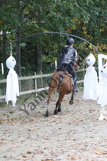 OD6A9855.jpg 20 Octobre 2019 : Ecurie du Val - Equifun Club & Poney 