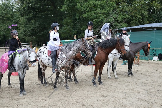OD6A8698.jpg 20 Octobre 2019 : Ecurie du Val - Equifun Club & Poney 