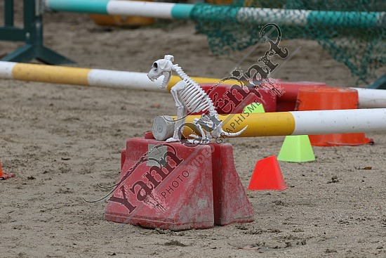 OD6A8704.jpg 20 Octobre 2019 : Ecurie du Val - Equifun Club & Poney 