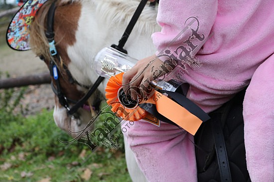 OD6A8701.jpg 20 Octobre 2019 : Ecurie du Val - Equifun Club & Poney 