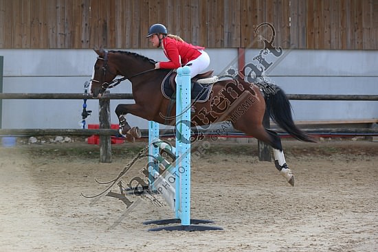 AS7V9748.jpg Dimanche 16 Octobre 2016 - Centre équestre de la Scie - CSO Club 