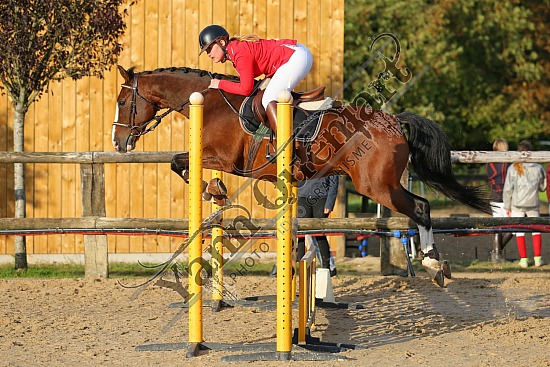 AS7V9745.jpg Dimanche 16 Octobre 2016 - Centre équestre de la Scie - CSO Club 