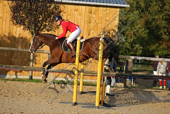 AS7V9746.jpg Dimanche 16 Octobre 2016 - Centre équestre de la Scie - CSO Club 
