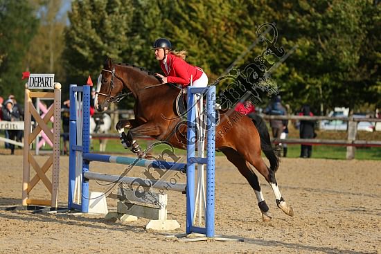 AS7V9741.jpg Dimanche 16 Octobre 2016 - Centre équestre de la Scie - CSO Club 