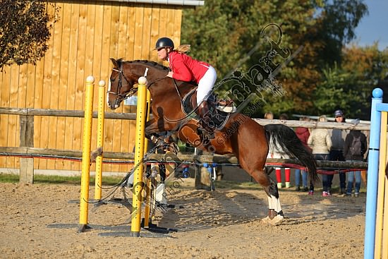 AS7V9744.jpg Dimanche 16 Octobre 2016 - Centre équestre de la Scie - CSO Club 