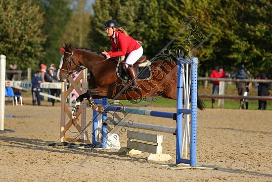 AS7V9742.jpg Dimanche 16 Octobre 2016 - Centre équestre de la Scie - CSO Club 