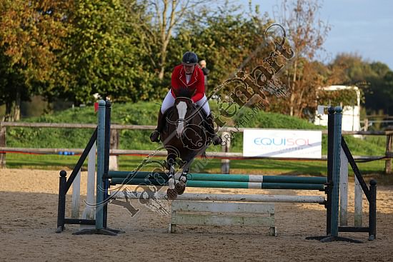 AS7V9751.jpg Dimanche 16 Octobre 2016 - Centre équestre de la Scie - CSO Club 
