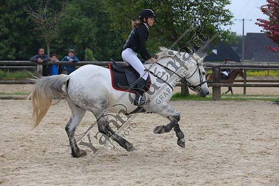 AS7V1123.jpg Dimanche 29 Mai 2016 - Centre équestre de la Scie - CSO Club 