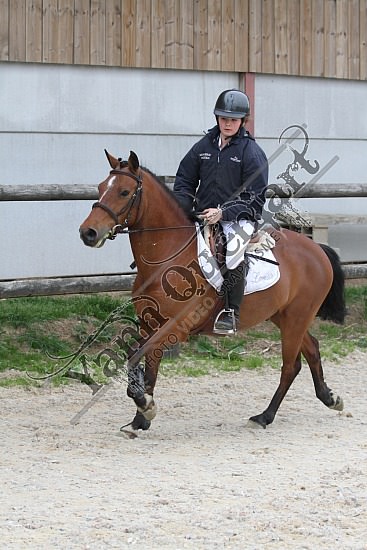 IMG_5945.jpg Dimanche 20 Mai 2012 - Centre équestre de la Scie - CSO 